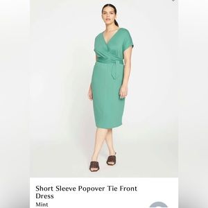 Universal Standard Shirt Sleeve Popover Tie Front Dress in Mint size M (18-20)
